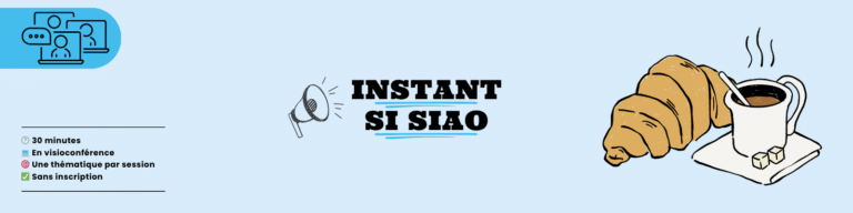 Bannière Instant SI SIAO article